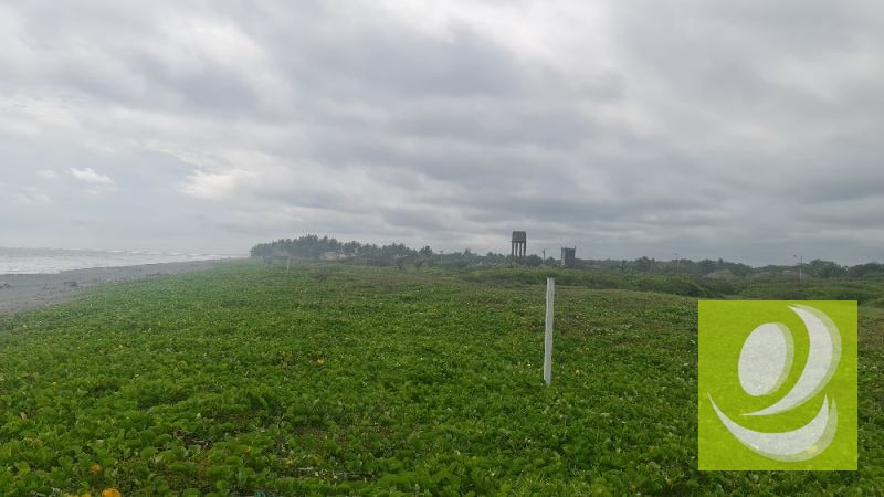 TERRENO EN VENTA FRENTE AL MAR EN MONTERRICO - 2