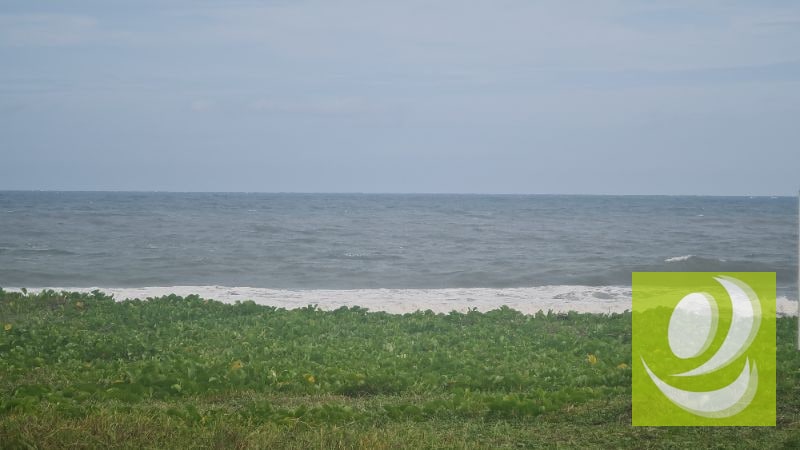 TERRENO EN VENTA FRENTE AL MAR EN MONTERRICO - 1