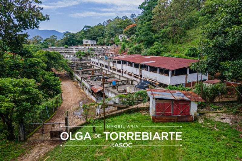 Finca en Pueblo Nuevo Viñas — Finca en Venta en Pueblo Nuevo Viñas, Santa Rosa — foto 2 de 17