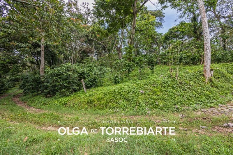 Finca en Pueblo Nuevo Viñas — Finca en Venta en Pueblo Nuevo Viñas, Santa Rosa — foto 4 de 17