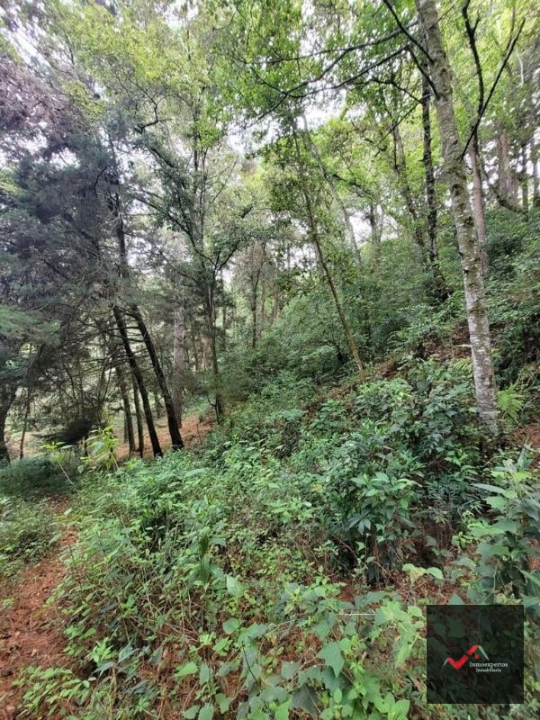 TERRENO EN VENTA SAN LUCAS, SACATEPEQUEZ  - 3