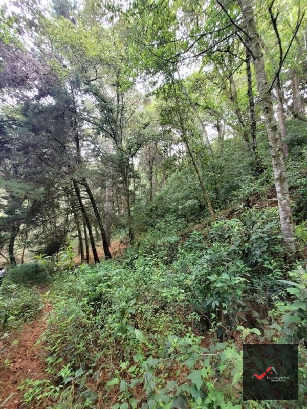 TERRENO EN VENTA SAN LUCAS, SACATEPEQUEZ  - 8