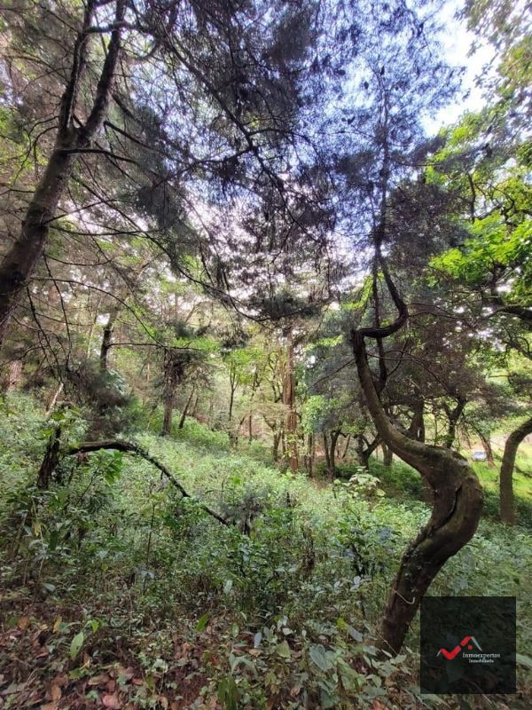 TERRENO EN VENTA SAN LUCAS, SACATEPEQUEZ  - 2