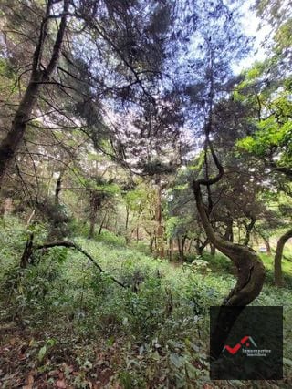 TERRENO EN VENTA SAN LUCAS, SACATEPEQUEZ  — Terreno en Venta en San Lucas Sacatepéquez, Sacatepéquez — miniatura 6 de 12