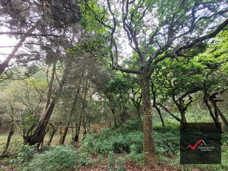 TERRENO EN VENTA SAN LUCAS, SACATEPEQUEZ  - 6