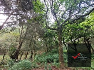 TERRENO EN VENTA SAN LUCAS, SACATEPEQUEZ  — Terreno en Venta en San Lucas Sacatepéquez, Sacatepéquez — miniatura 8 de 12