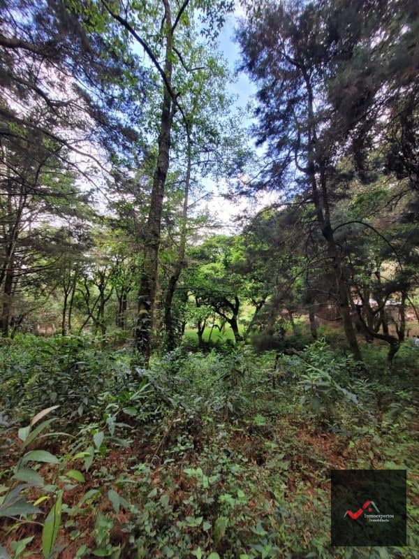 TERRENO EN VENTA SAN LUCAS, SACATEPEQUEZ - 4