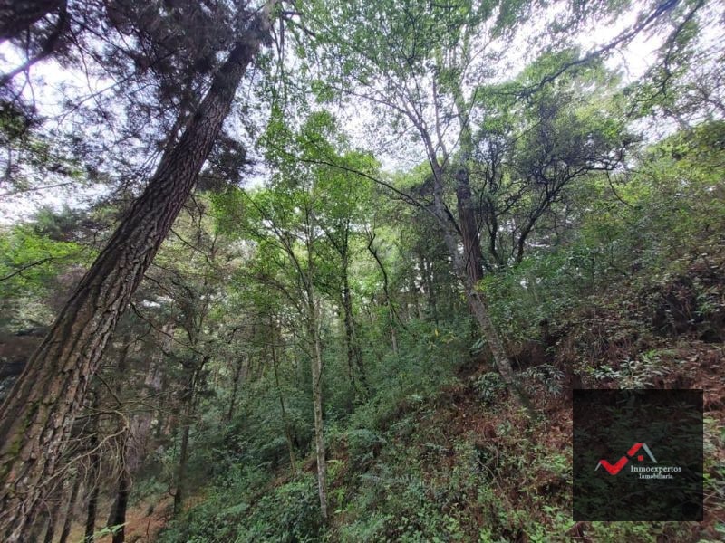 TERRENO EN VENTA SAN LUCAS, SACATEPEQUEZ - 7
