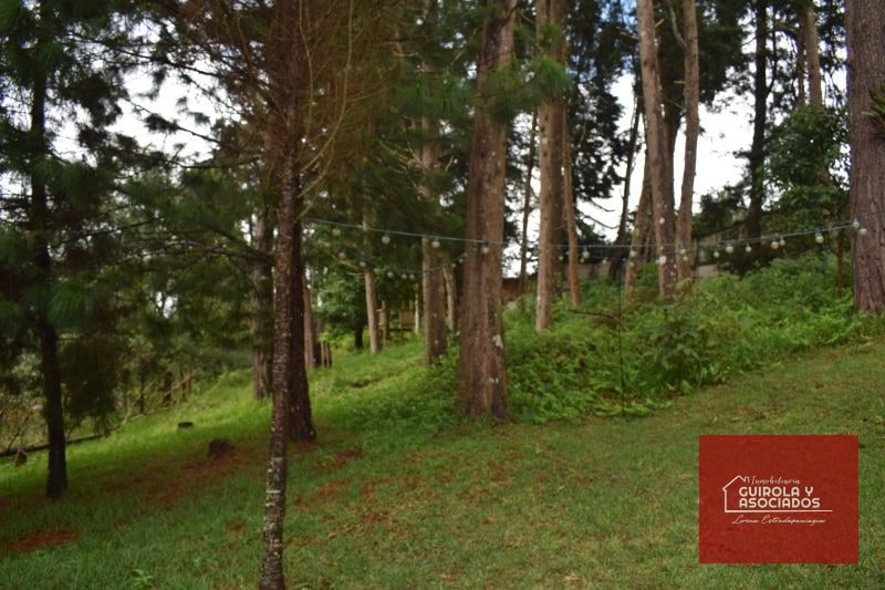 TERRENO EN VENTA EN SANTA ROSALIA LA LAGUNA 074TVSTD - 3