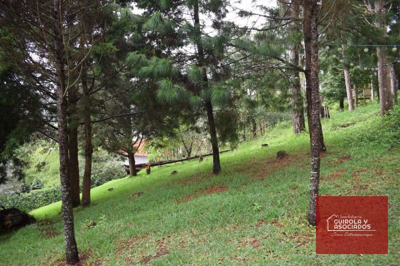 TERRENO EN VENTA EN SANTA ROSALIA LA LAGUNA 074TVSTD - 9