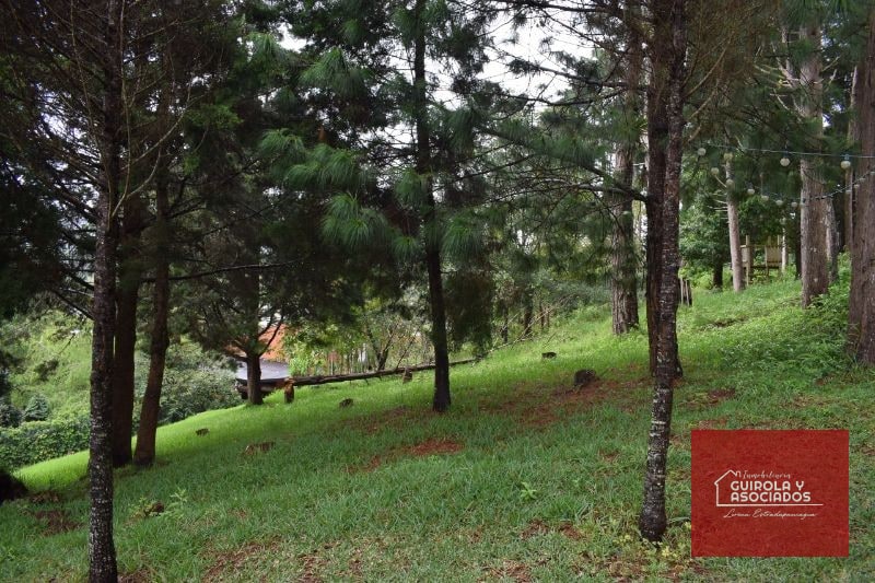 TERRENO EN VENTA EN SANTA ROSALIA LA LAGUNA 074TVSTD - 6