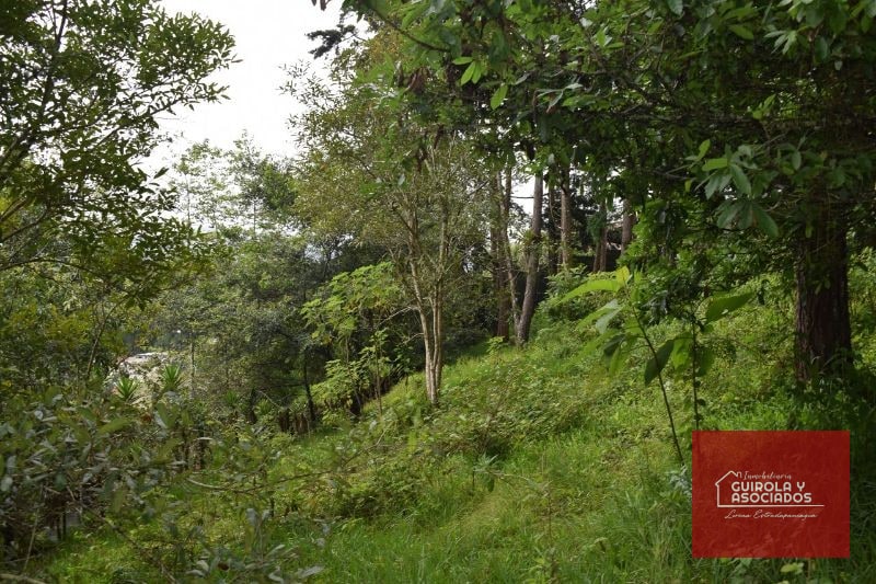 TERRENO EN VENTA EN SANTA ROSALIA LA LAGUNA 074TVSTD - 8