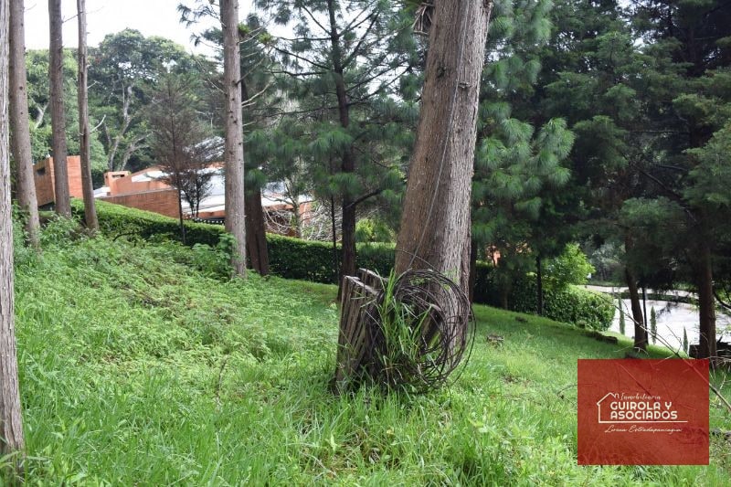 TERRENO EN VENTA EN SANTA ROSALIA LA LAGUNA 074TVSTD - 10