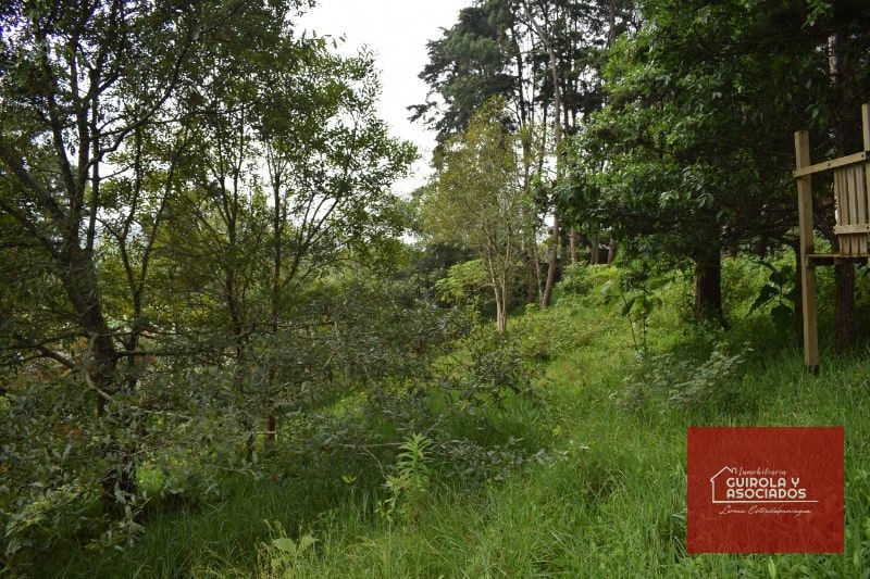 TERRENO EN VENTA EN SANTA ROSALIA LA LAGUNA 074TVSTD - 7
