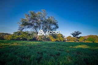 Terrenos en complejo industrial, km 67 Escuintla (Opción 1) — Terreno en Venta en Escuintla, Escuintla — miniatura 2 de 3