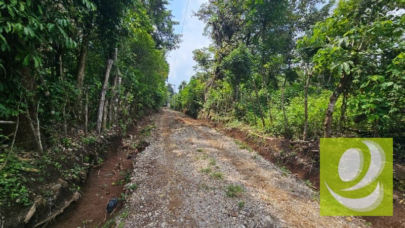 TERRENO DE 2 MANZANAS EN VENTA SANTA ELENA BARILLAS - 1