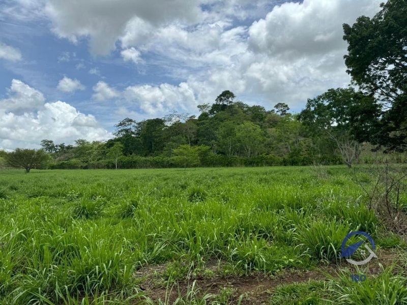 Se vende Finca en La Libertad -  Petén - Guatemala - 10