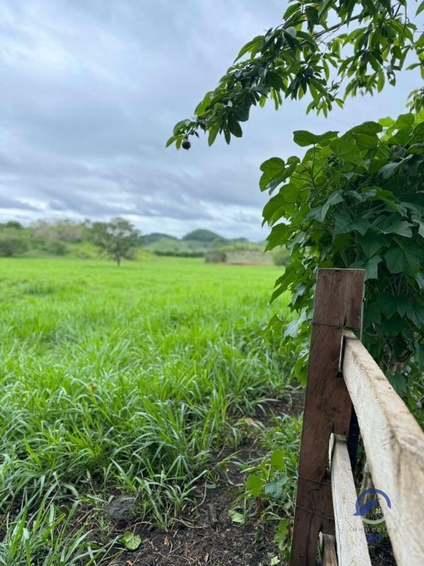 Se vende Finca en La Libertad -  Petén - Guatemala - 4