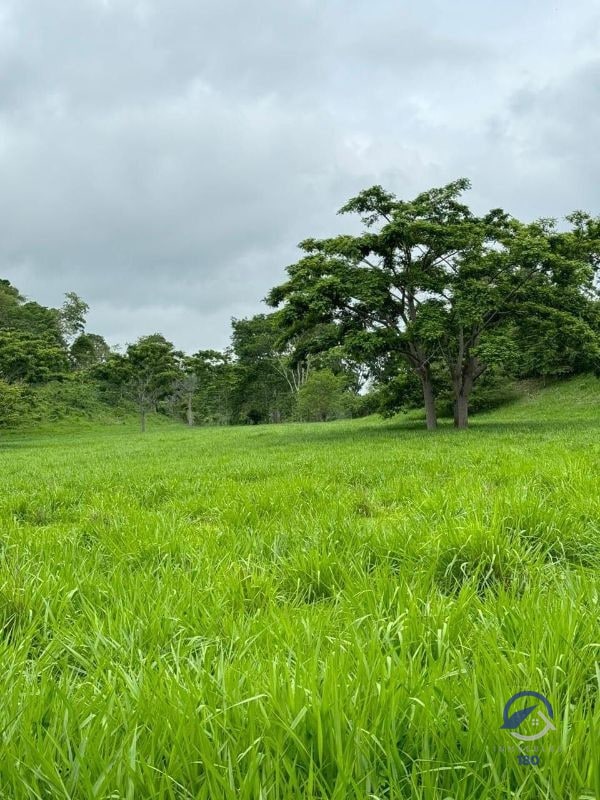 Se vende Finca en La Libertad - Petén - Guatemala - 8