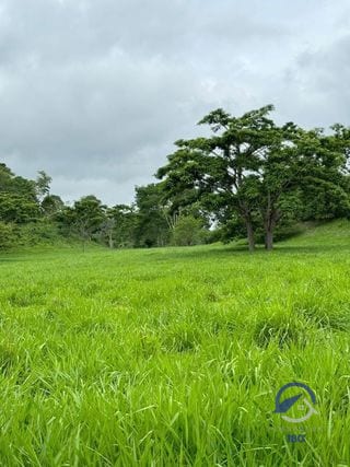 Se vende Finca en La Libertad -  Petén - Guatemala — Finca en Venta en La Libertad, Petén — miniatura 8 de 11