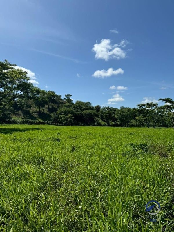 Se vende Finca en La Libertad - Petén - Guatemala - 5