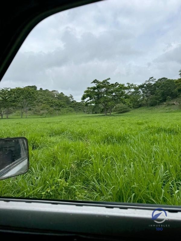 Se vende Finca en La Libertad - Petén - Guatemala - 7