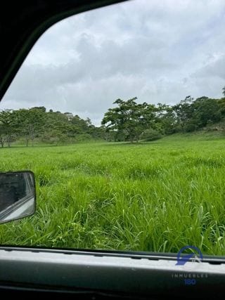 Se vende Finca en La Libertad -  Petén - Guatemala — Finca en Venta en La Libertad, Petén — miniatura 7 de 11