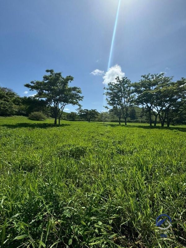 Se vende Finca en La Libertad - Petén - Guatemala - 1