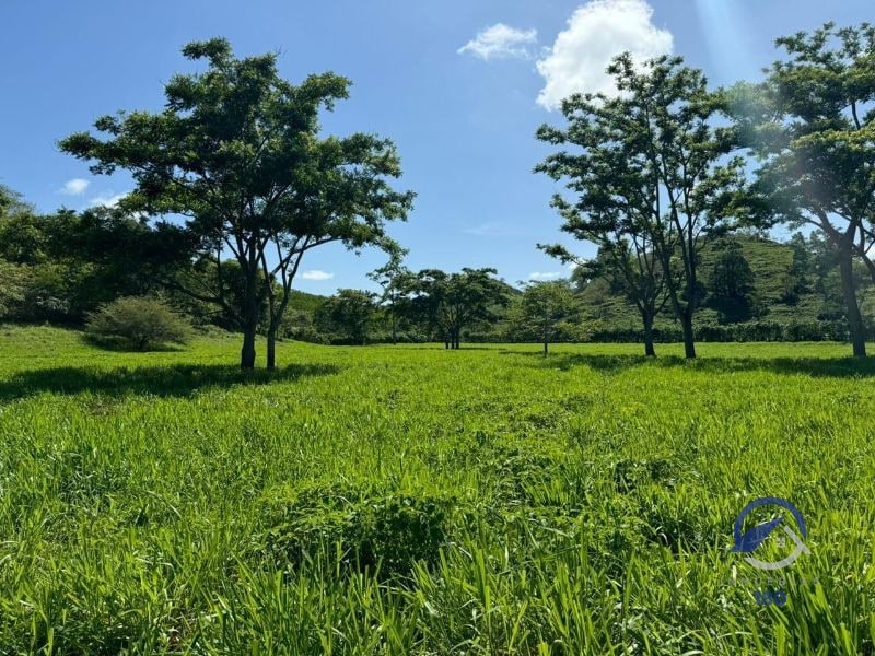 Se vende Finca en La Libertad - Petén - Guatemala - 11