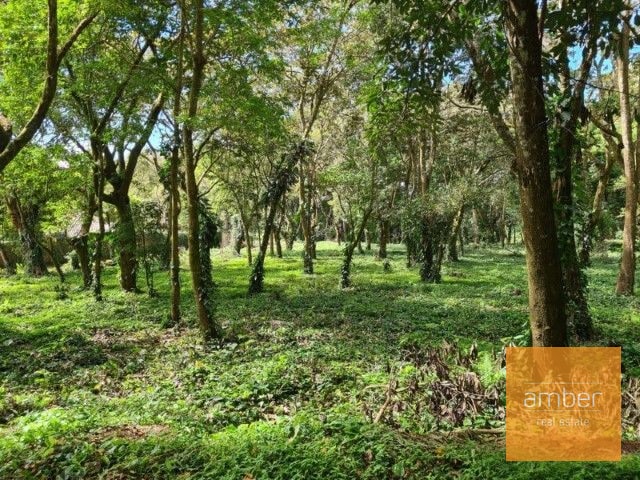 Terreno en Premiere Campestre - 1