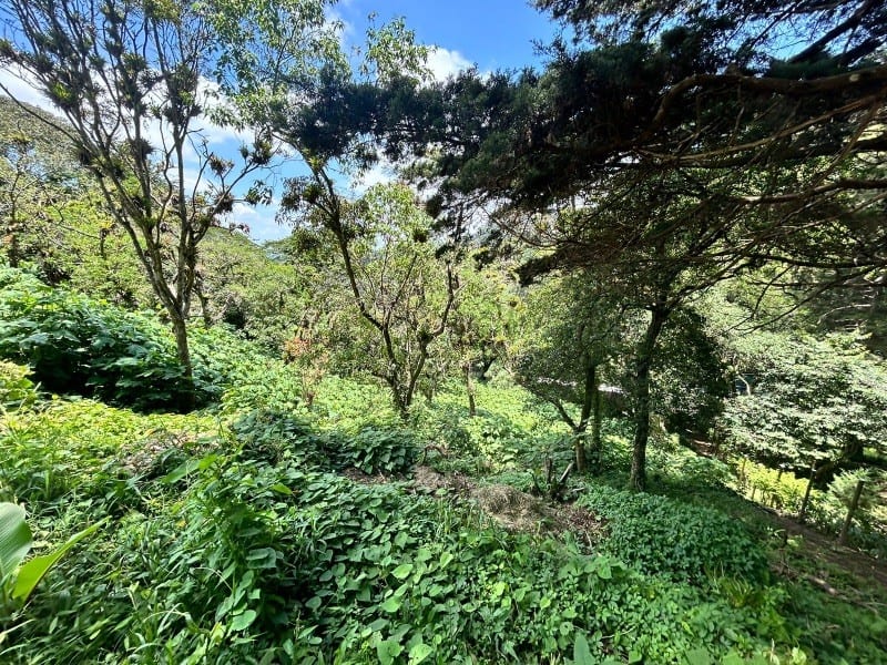 Terreno en venta Vistalvalle km 9 CAES — Terreno en Venta en Carretera a El Salvador, Guatemala, Ciudad — foto 3 de 4