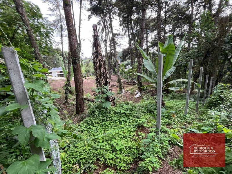 TERRENO EN VENTA EN SANTA ROSALIA LA LAGUNA - 3