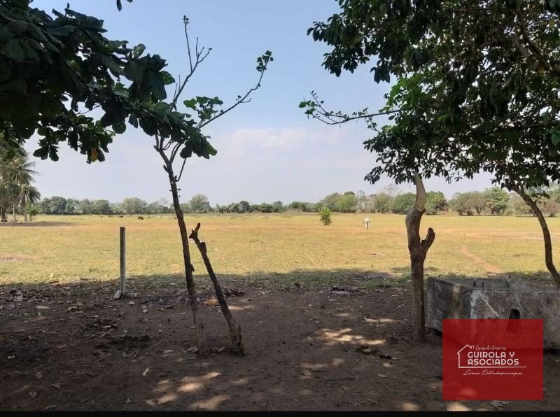 TERRENO EN VENTA EN ESCUINTLA 001TVESD - 5