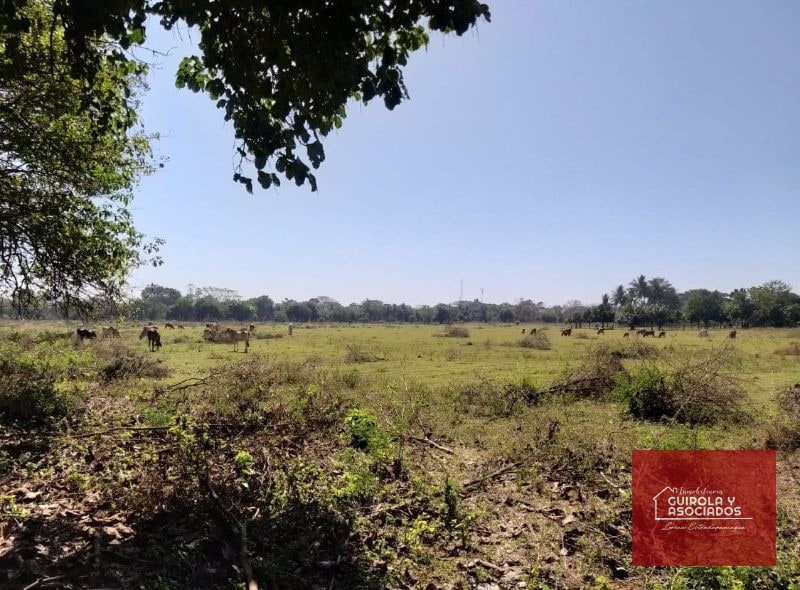TERRENO EN VENTA EN ESCUINTLA 001TVESD - 1