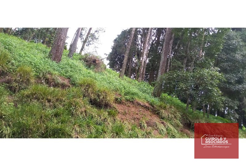 TERRENO EN VENTA EN EL KM 21 CARRETERA EL SALVADOR 008TVCD - 9