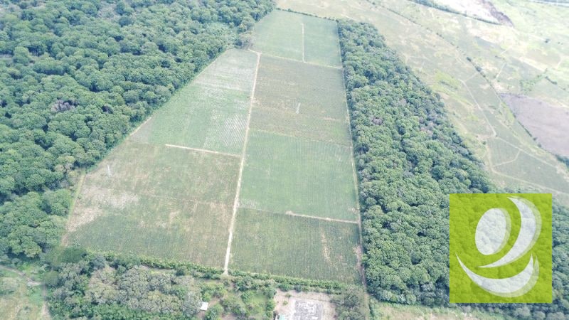 Citymax-Advance Vende Terreno/Finca de 170,000v² Plano a dos minutos de Carretera a El Salvador** - 3