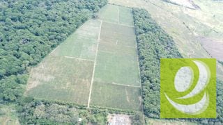 Citymax-Advance Vende Terreno/Finca de 170,000v² Plano a dos minutos de Carretera a El Salvador** — Terreno en Venta en Villa Canales, Guatemala, Ciudad — miniatura 3 de 4