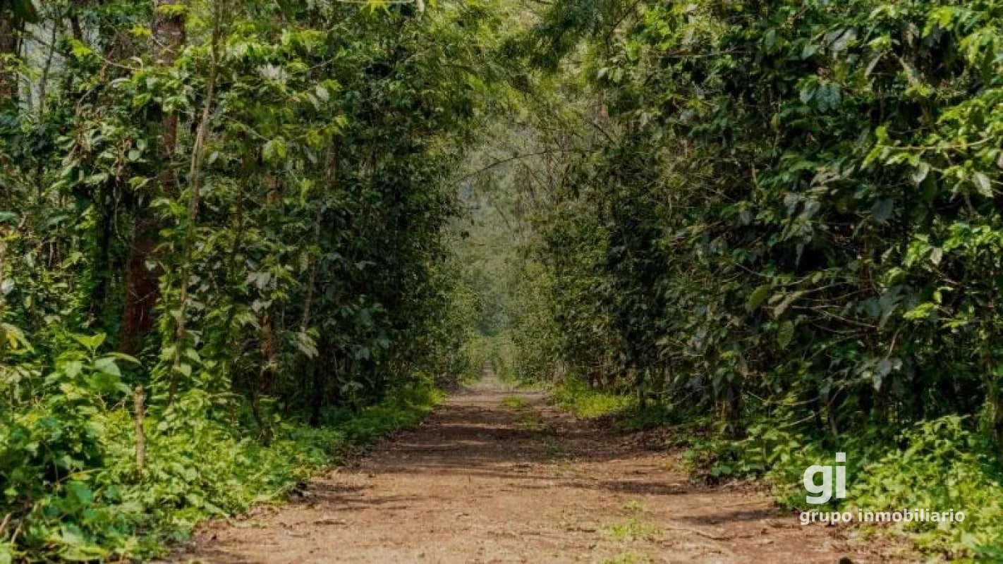 TERRENO EXCLUSIVO EN ANTIGUA GUATEMALA - 9
