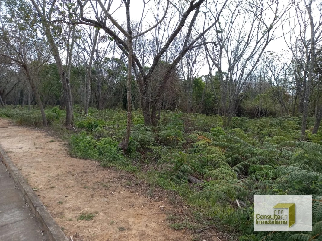 Casa y Campo/ terreno en venta/ 11577.79 vr2 - 5
