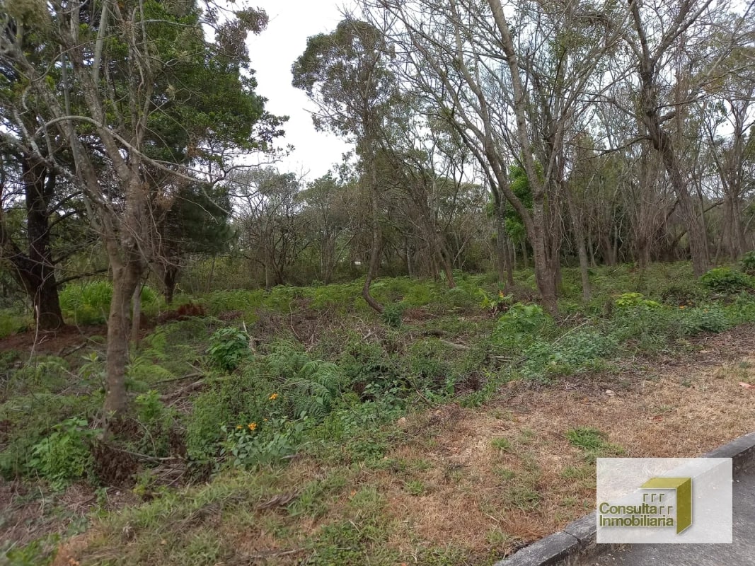 Casa y Campo/ terreno en venta/ 11577.79 vr2 - 3