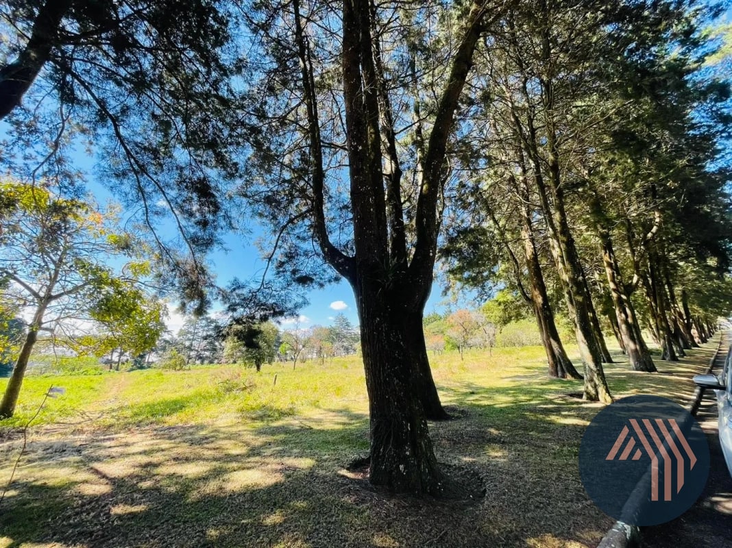 VENTA DE AMPLIO TERRENO - PREMIERE CAMPESTRE, KM 22.5 CES - 10