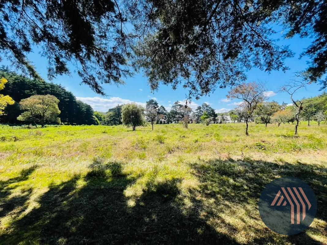 VENTA DE AMPLIO TERRENO - PREMIERE CAMPESTRE, KM 22.5 CES - 9