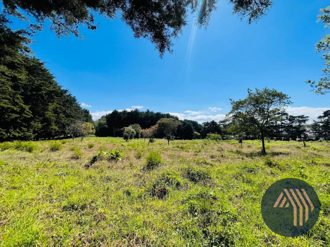 VENTA DE AMPLIO TERRENO - PREMIERE CAMPESTRE, KM 22.5 CES - 8