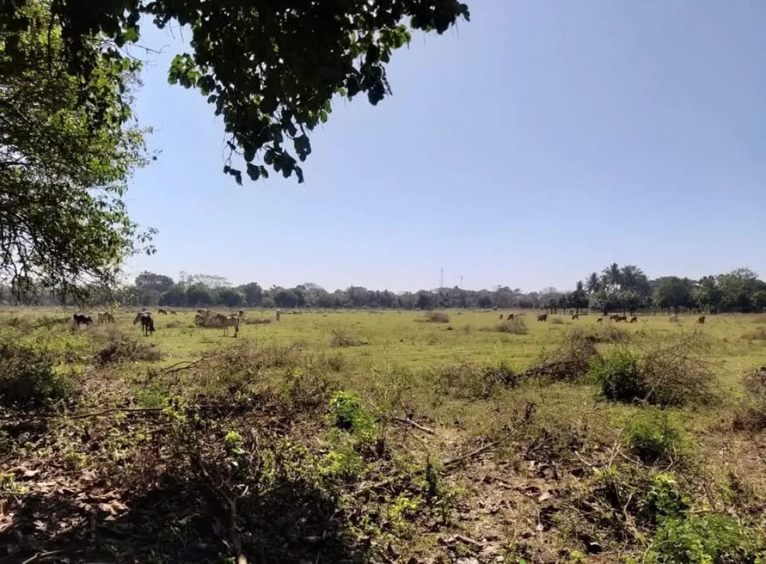 Terreno en Masagua, Escuintla — Terreno en Venta en Masagua, Escuintla — foto 3 de 3