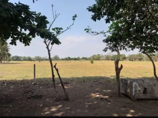 Terreno en Masagua, Escuintla — Terreno en Venta en Masagua, Escuintla — miniatura 2 de 3