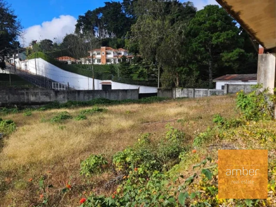 Terreno en Km 16.5 CAES - 1