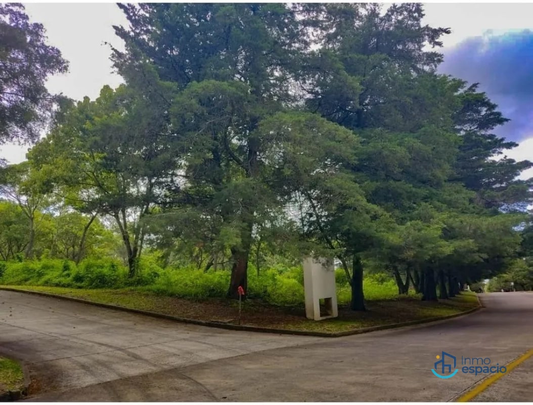 Terreno en Venta en Casa y Campo - 5