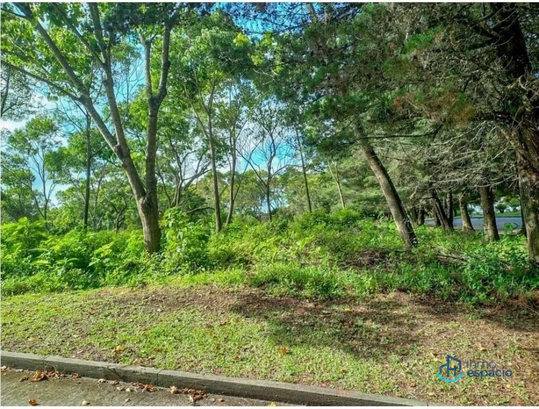 Terreno en Venta en Casa y Campo - 3