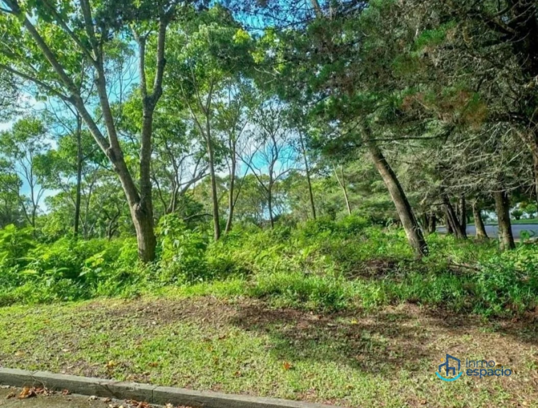 Terreno en Venta en Casa y Campo - 2