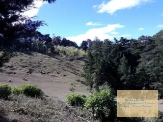 San Jose Pinula Terreno en el Tular — Terreno en Venta en San José Pinula, Guatemala, Ciudad — miniatura 2 de 8